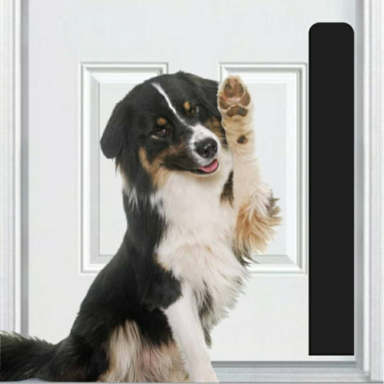 Dog scratch door shop protector australia bunnings